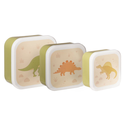 Desert Dino Lunch Boxes - Set of 3 B-MAXI061