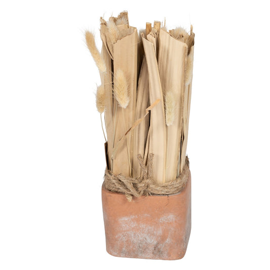 Fox Tail Dried Grass Bouquet in Terracotta Pot S-FL1141-S