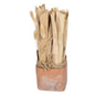 Fox Tail Dried Grass Bouquet in Terracotta Pot S-FL1141-S