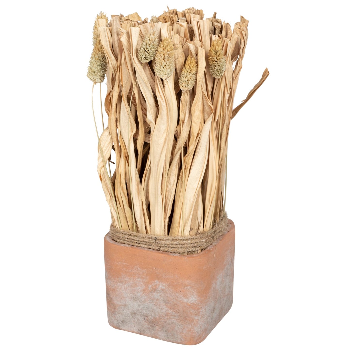 Fluffy Dried Grass Bouquet in Terracotta Pot- Large S-FL1142-B