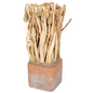 Fluffy Dried Grass Bouquet in Terracotta Pot- Large S-FL1142-B