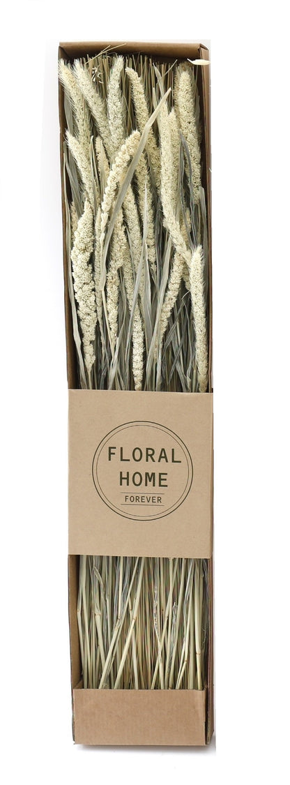 Decorative Dried Grass 60cm S-FL1188-C