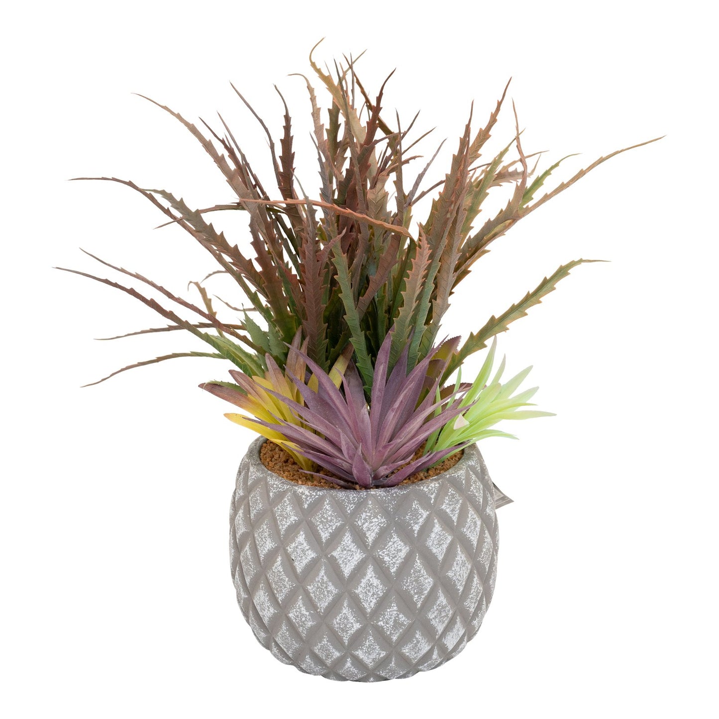 Succulents in Large Lattice Design Grey Pot S-FL1194