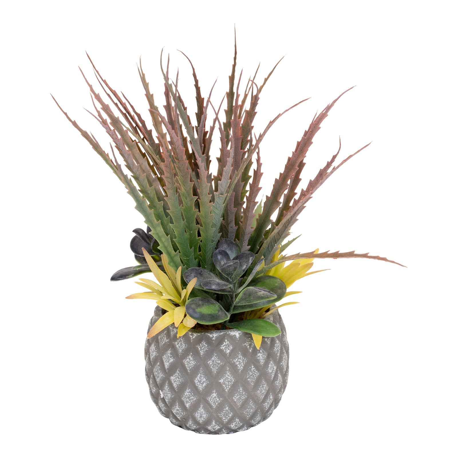 Succulents in Large Lattice Design Grey Pot S-FL1194