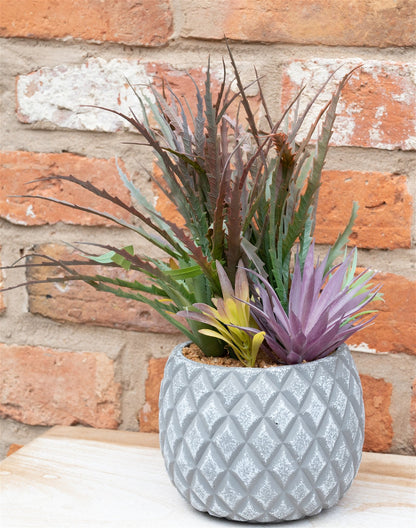 Succulents in Large Lattice Design Grey Pot S-FL1194