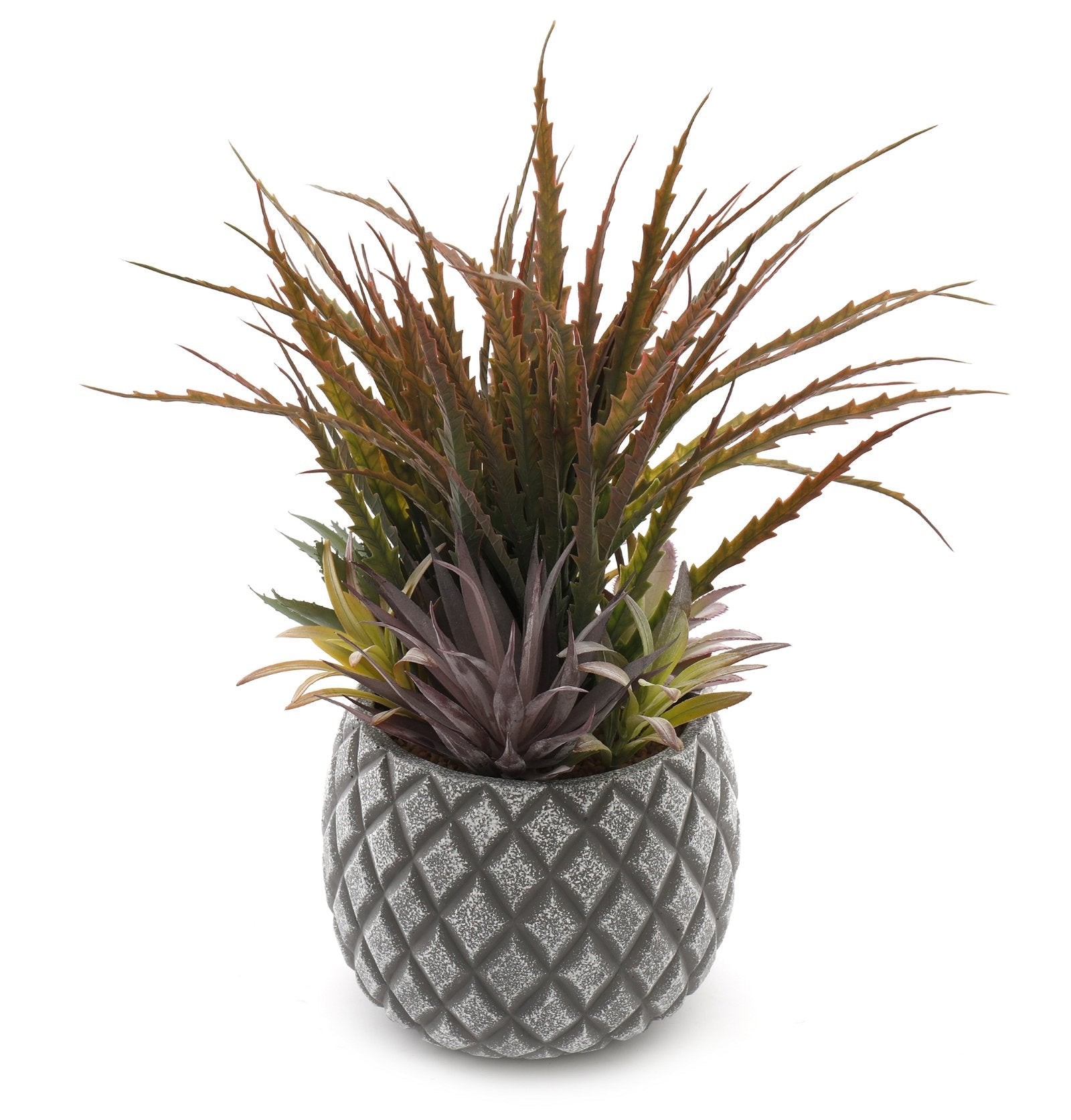 Succulents in Large Lattice Design Grey Pot S-FL1194