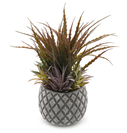 Succulents in Large Lattice Design Grey Pot S-FL1194