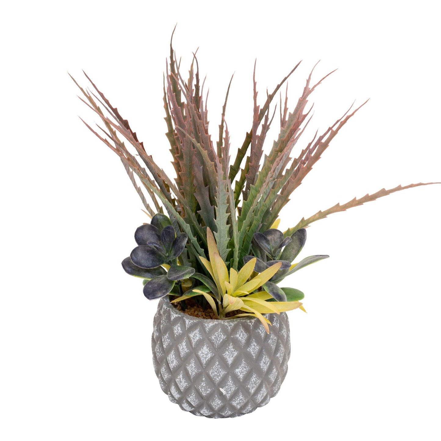 Succulents in Small Lattice Design Grey Pot S-FL1195