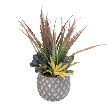 Succulents in Small Lattice Design Grey Pot S-FL1195