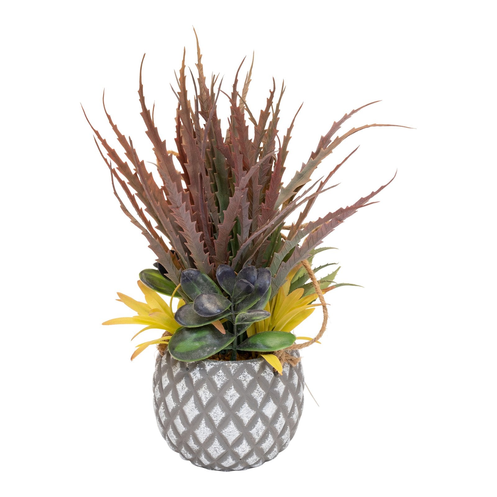 Succulents in Small Lattice Design Grey Pot S-FL1195