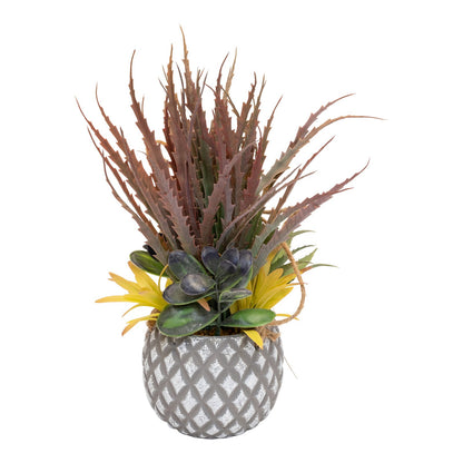 Succulents in Small Lattice Design Grey Pot S-FL1195