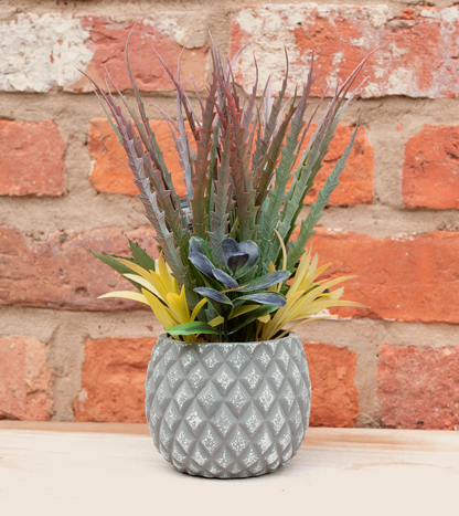 Succulents in Small Lattice Design Grey Pot S-FL1195