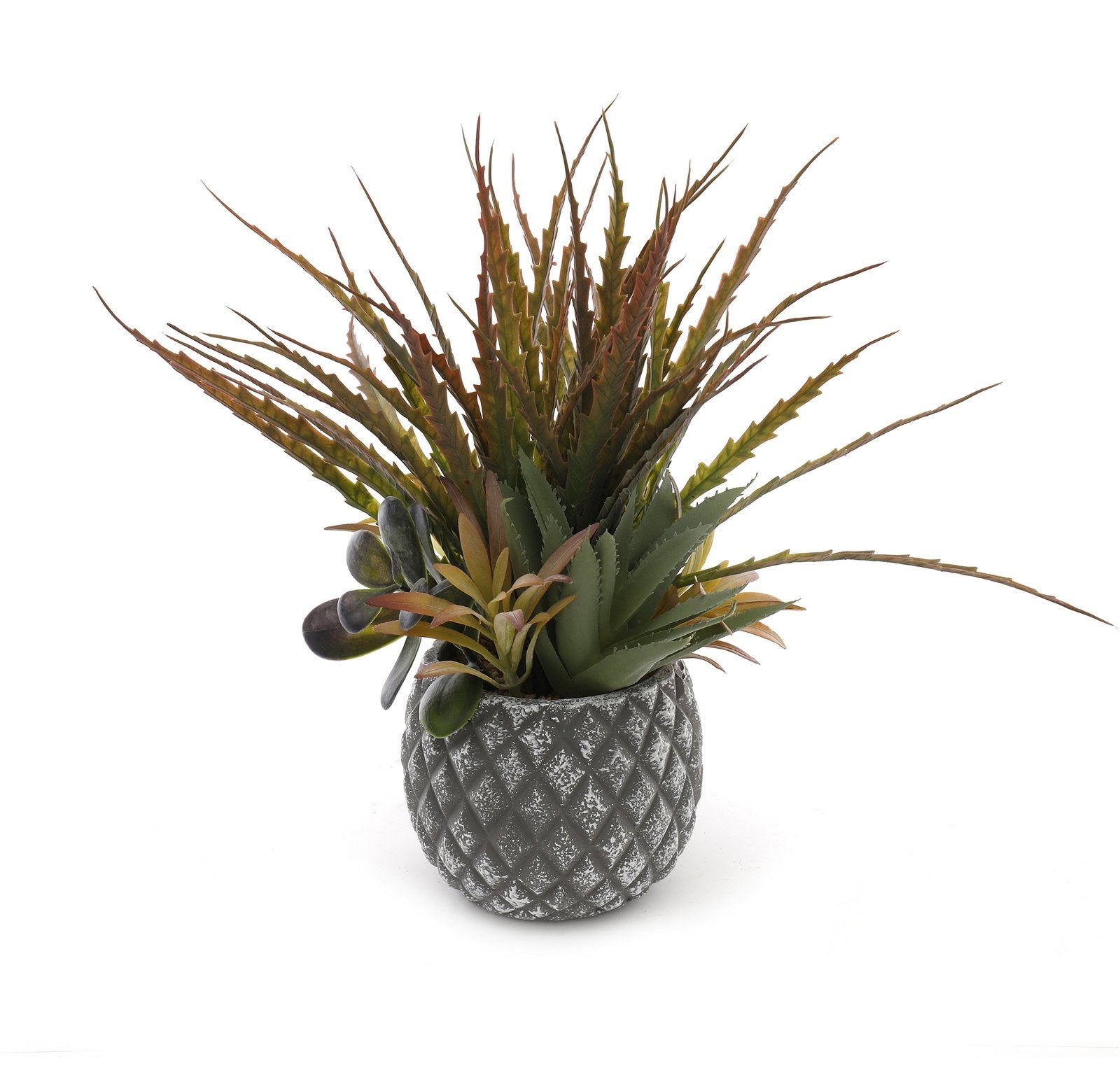 Succulents in Small Lattice Design Grey Pot S-FL1195