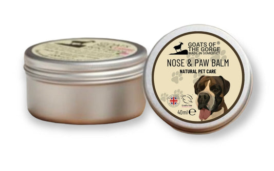 Pet Nose and Paw Balm GOTG40