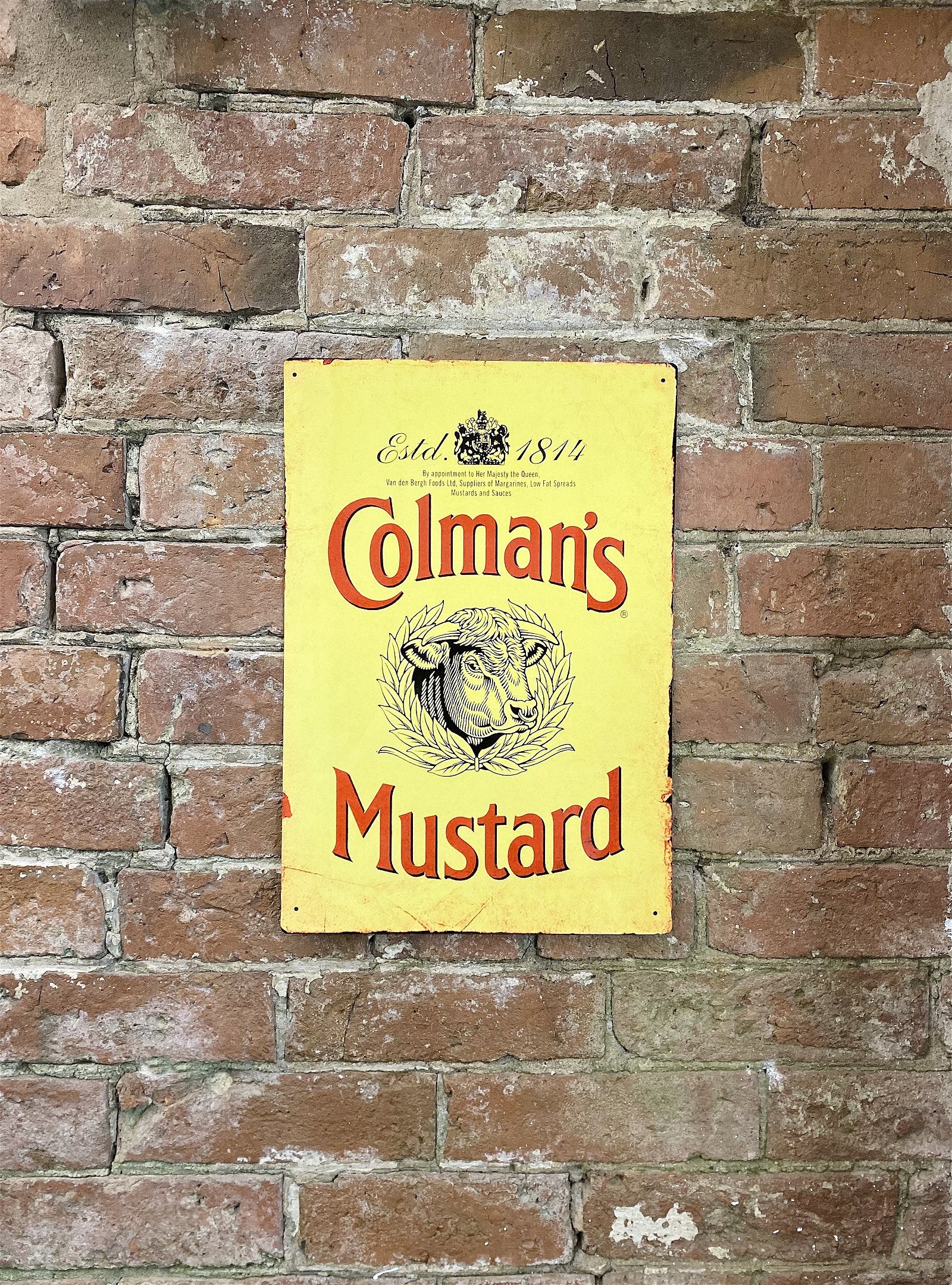 Metal Advertising Wall Sign - Colemans Mustard Yellow MS108