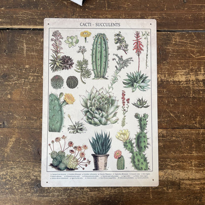 Vintage Metal Sign - Retro Cacti & Succulents Identification Picture MS57