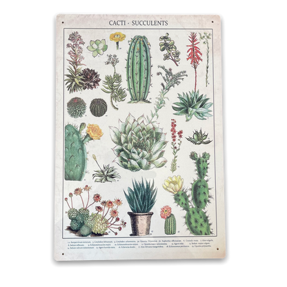 Vintage Metal Sign - Retro Cacti & Succulents Identification Picture MS57