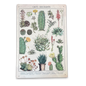 Vintage Metal Sign - Retro Cacti & Succulents Identification Picture MS57