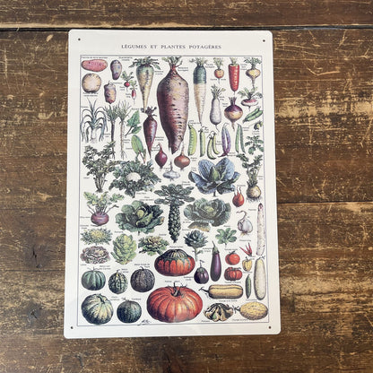 Vintage Metal Sign - Vintage Botanical Kitchen Vegetables Sign MS71