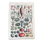 Vintage Metal Sign - Vintage Botanical Kitchen Vegetables Sign MS71