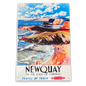 Vintage Metal Sign - British Railways Retro Advertising, Newquay MS89