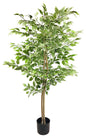 Artificial Ficus Tree With Variegation Leaves 150cm N0255