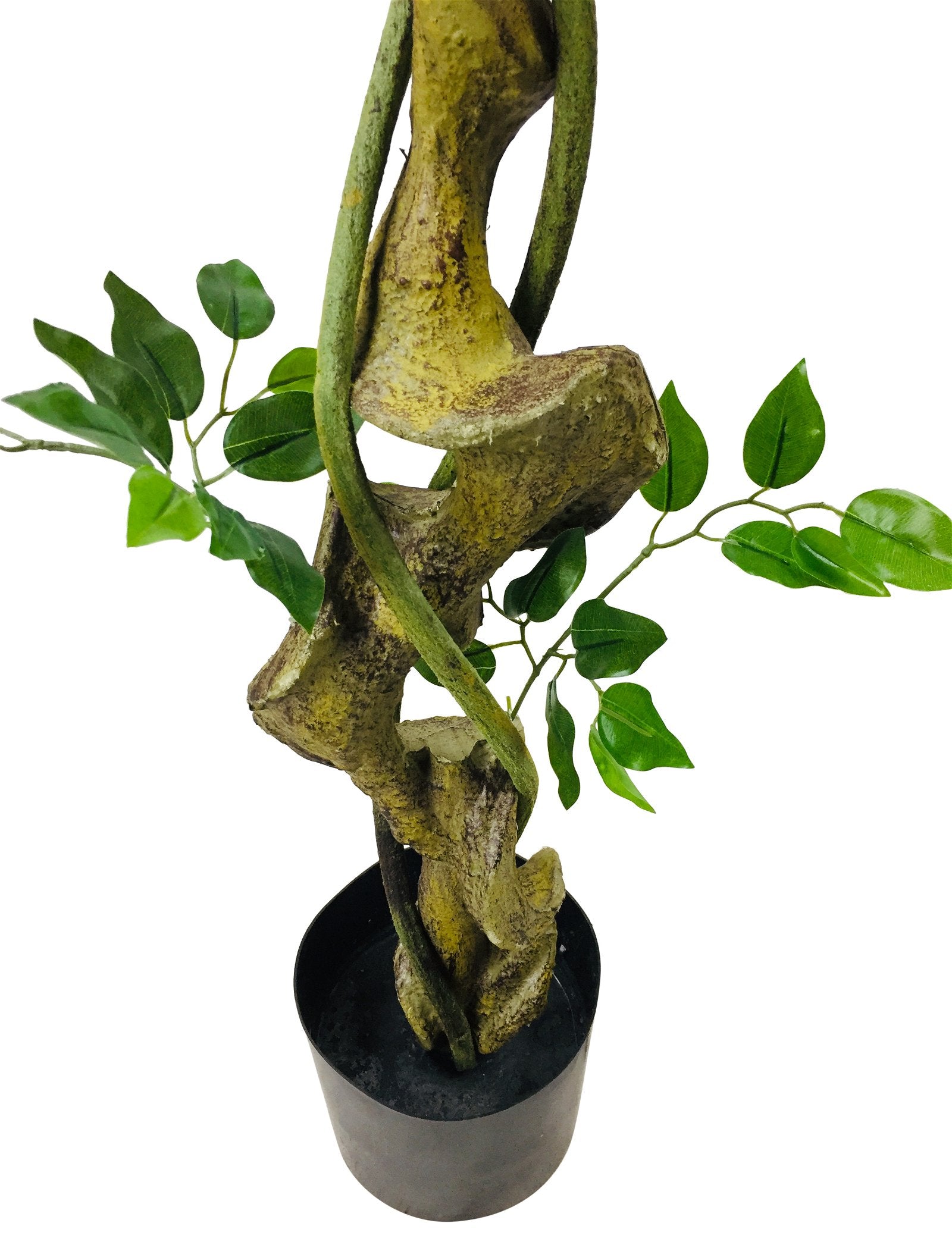 Artificial Ficus Tree With Twisted Trunk 137cm N0278