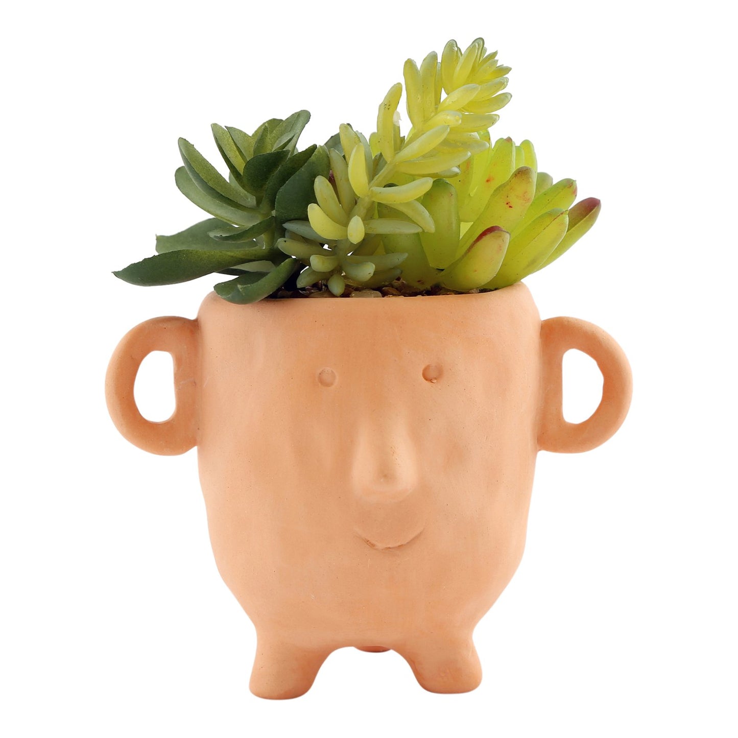 Face Terracotta Pot With Faux Cacti Small S-OR1605