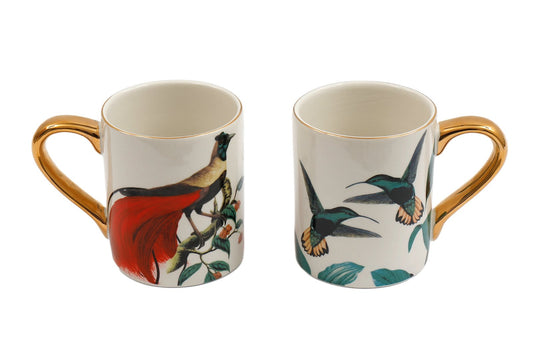 Birds of Paradise Mugs S-BP0140