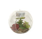 Succulent In Glass Terrarium with TeaLight Holder S-FL1056