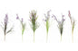 Purple Wild Flower Bunch S-FL1088A