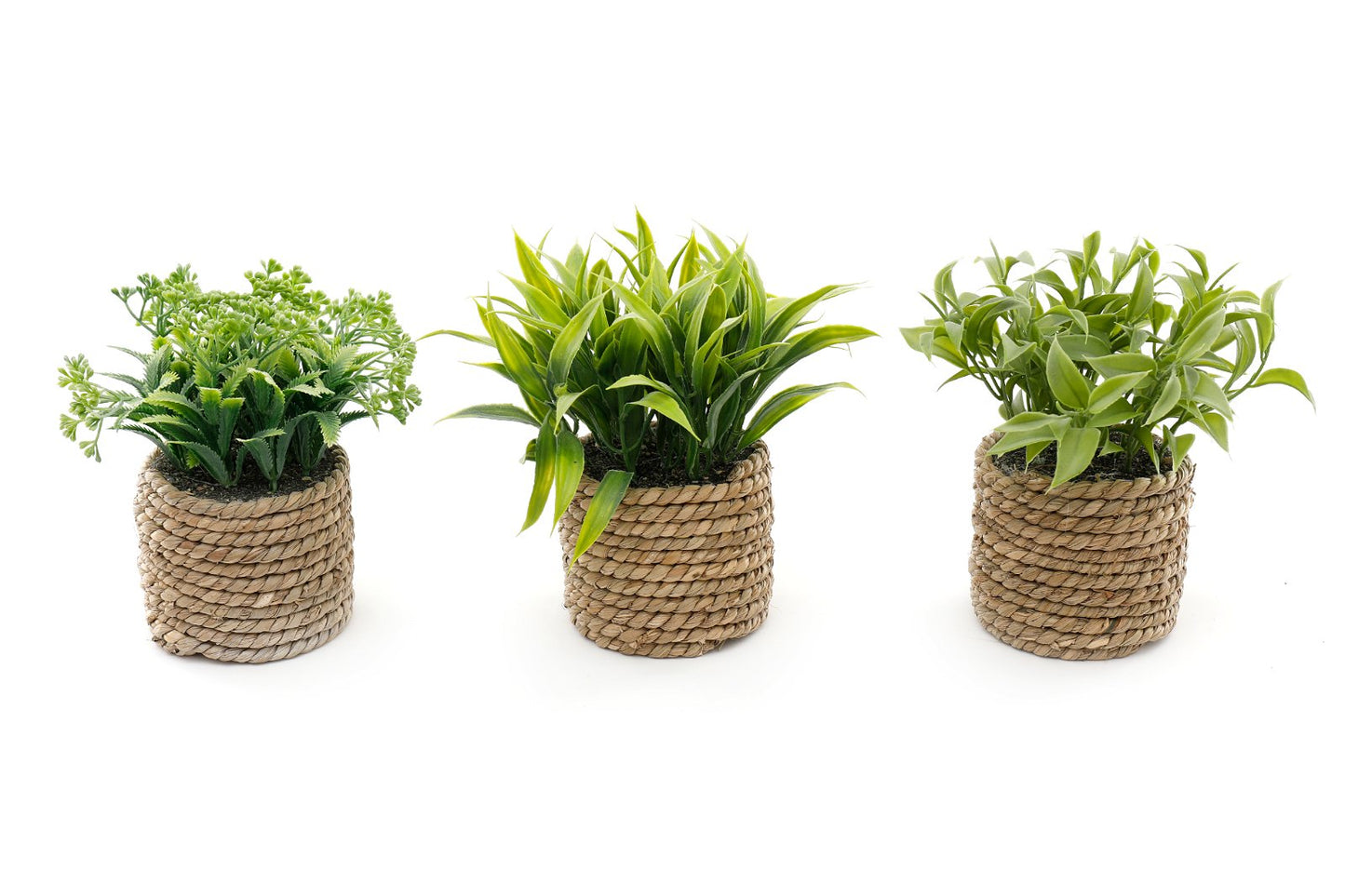 A Set Of Three Rope Effect Pots And Artificial Succulents S-FL1162