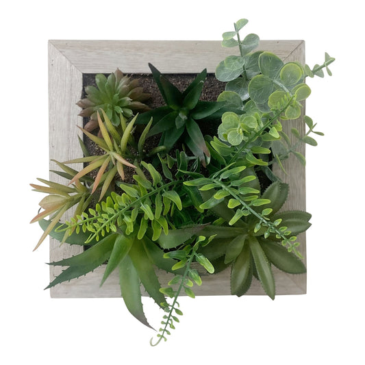 Artificial Succulents In Square Wooden Frame S-FL1252