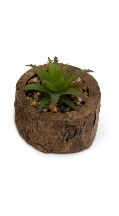 Bark Effect Pot and Succulent S-FL1267