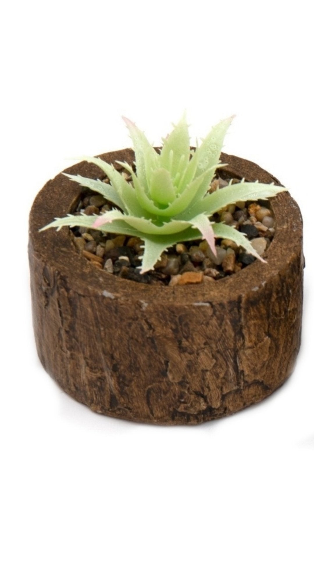 Bark Effect Pot and Succulent S-FL1267