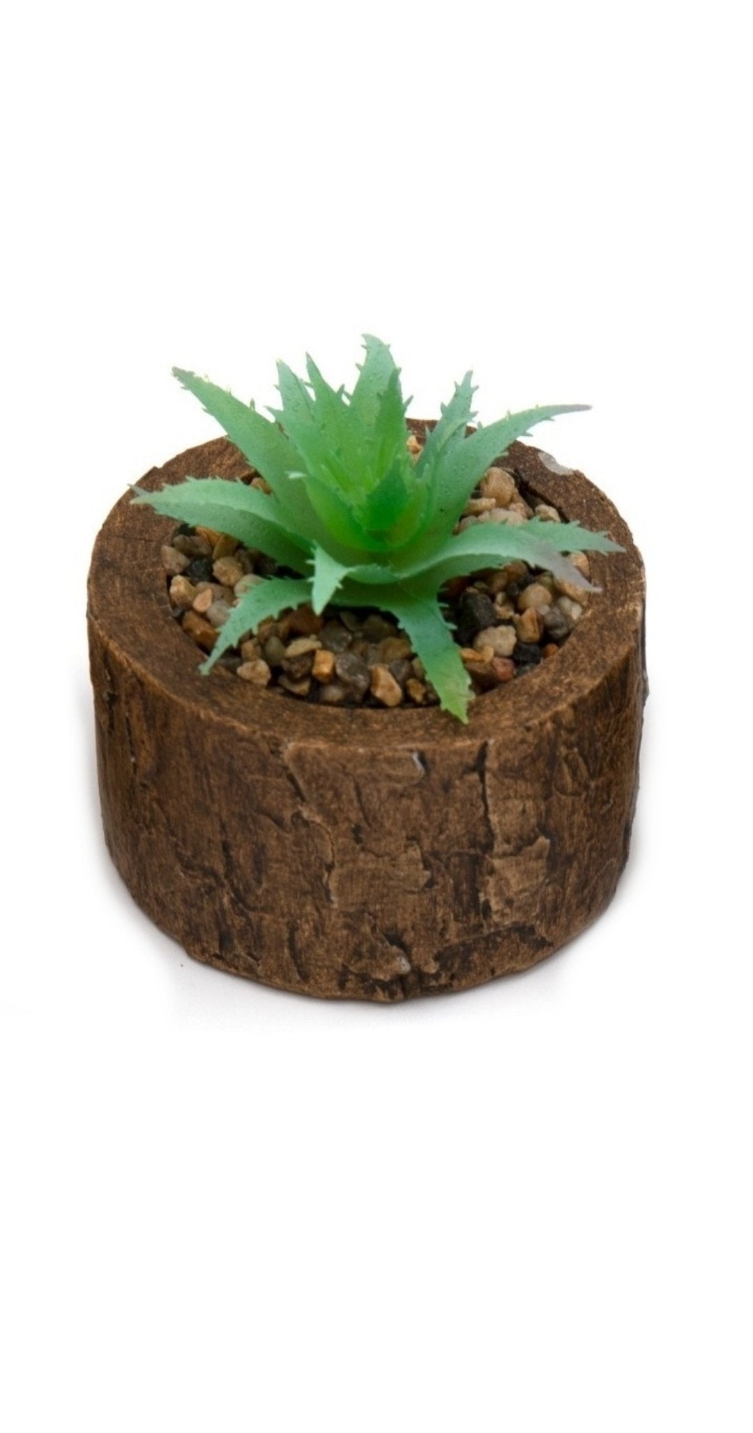 Bark Effect Pot and Succulent S-FL1267