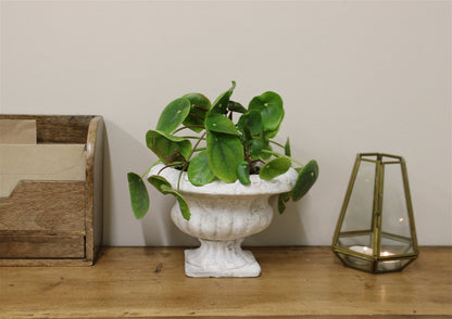 Classic Low Urn Planter S-FT0033