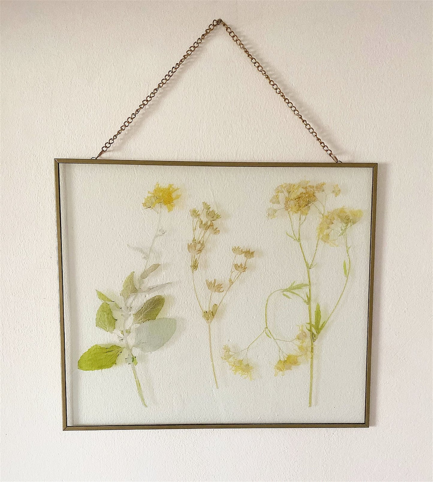 Les Fleurs Flower Wall Hanging Picture S-LF0145