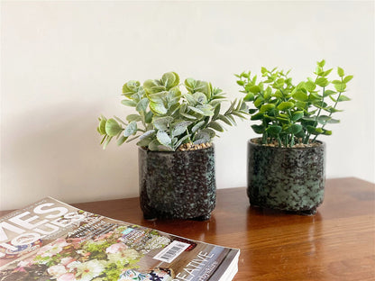 Set Of Two Succulent In Glazed Pots S-SR0033