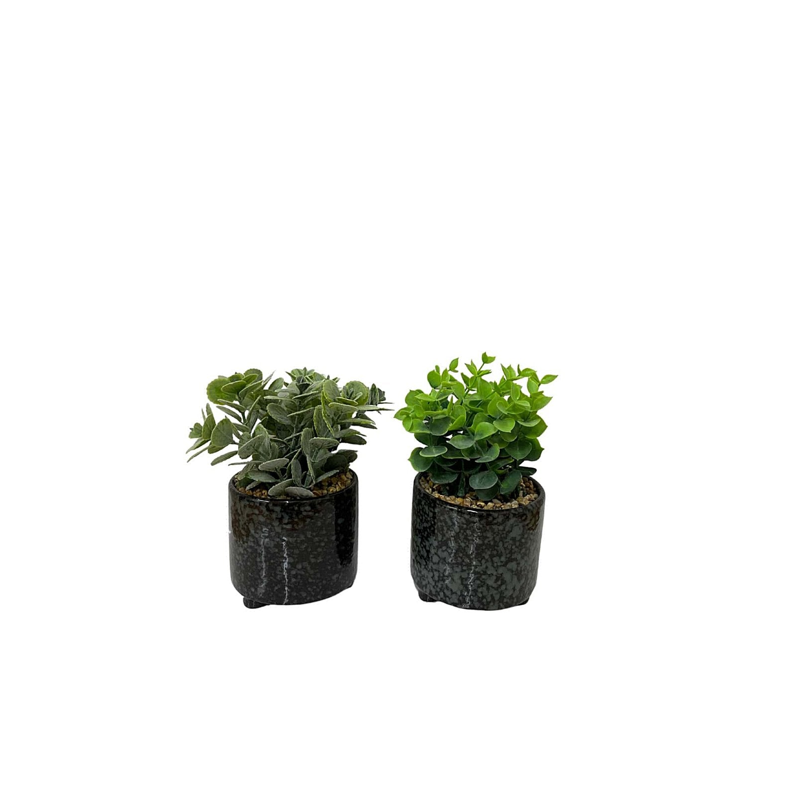 Set Of Two Succulent In Glazed Pots S-SR0033