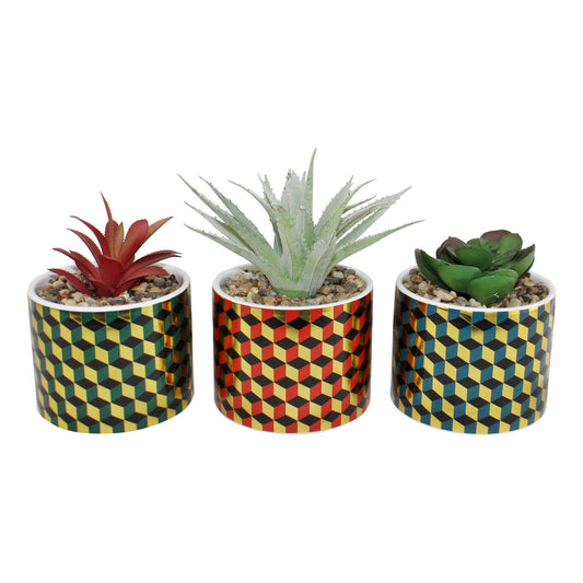 Set of 3 Succulents In Ceramic Pots With A Cubic Design S-TJBH08