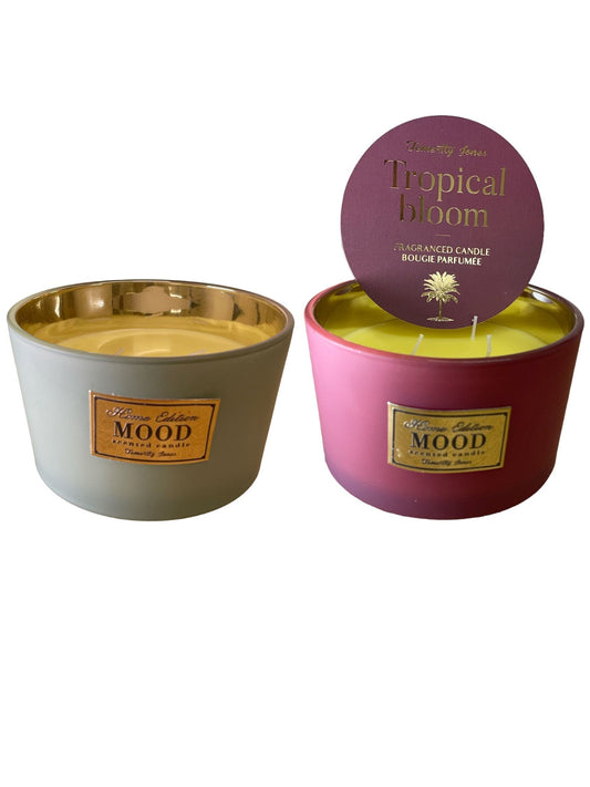 3 Wick Scented Candle, Pack of 2 S-TP0009