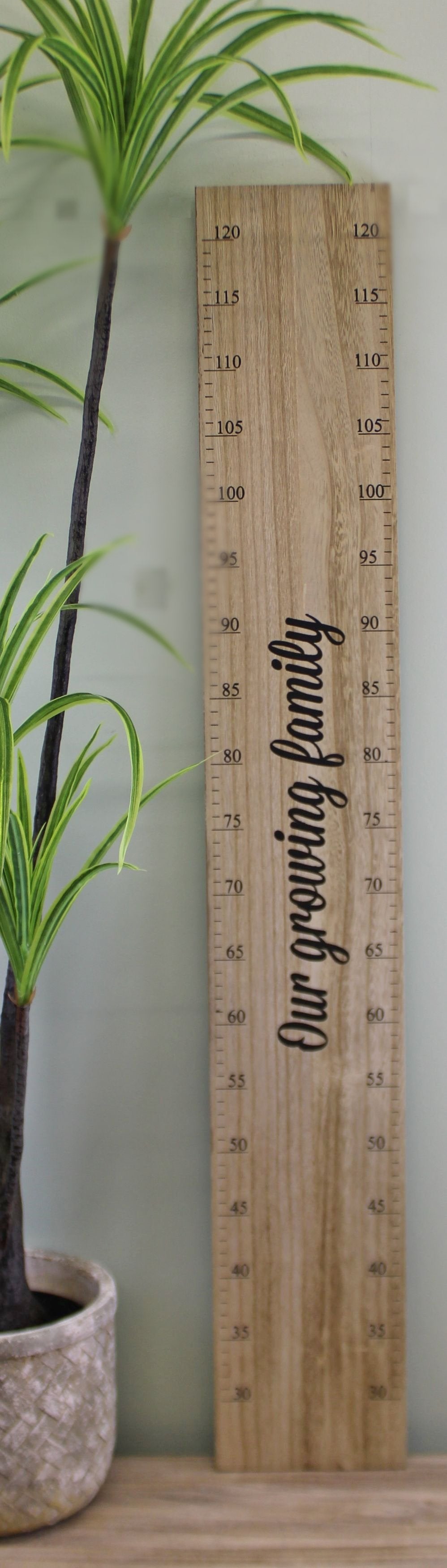 Height Chart Wall Plaque, Our Growing Family, 100cm S-WP2246-B