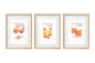 Set of Three Cocktail Recipe Wall Art in Frames S-WP2324