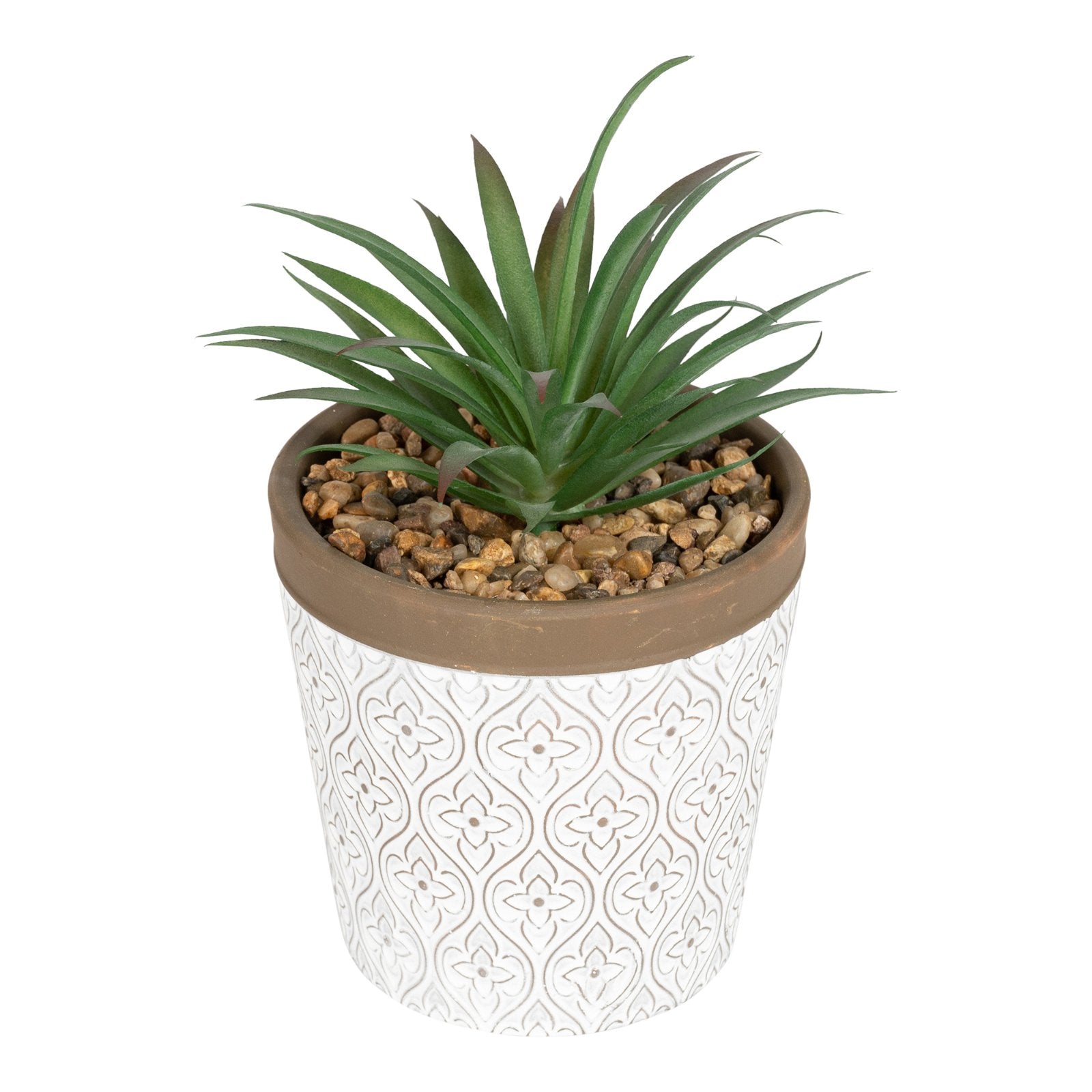 Green Succulent In White Terracotta Pot S-SR0081-A