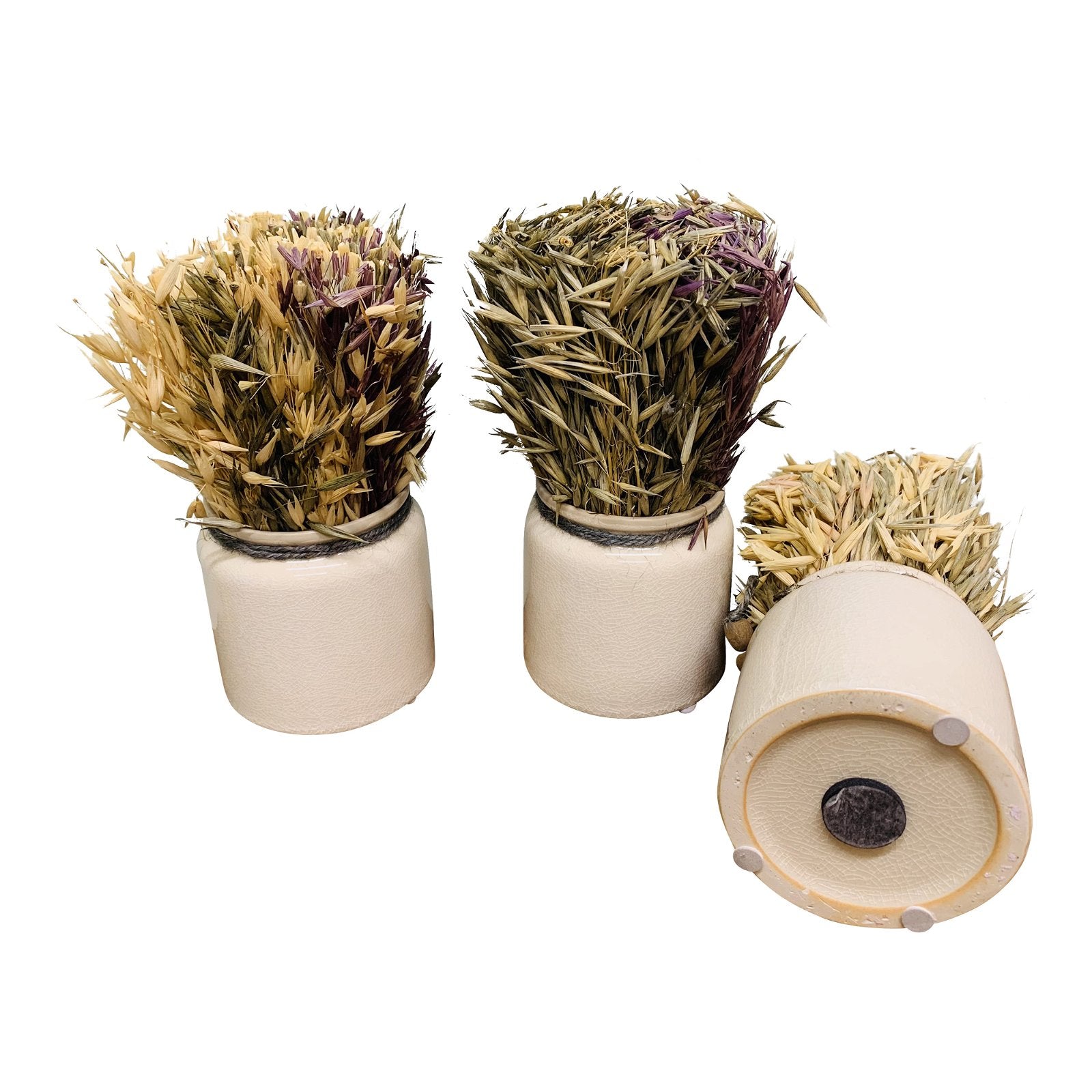 Set of 3 Dried Grasses In Ceramic Pots S-SY0082