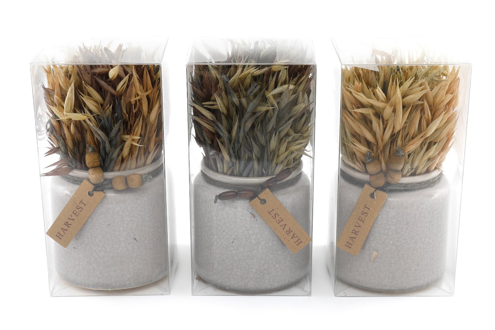 Set of 3 Dried Grasses In Ceramic Pots S-SY0082