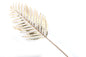 Gold Palm Leaf Decoration S-TJB0060