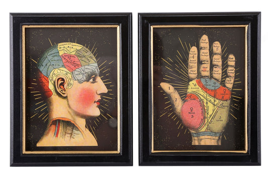 Set of 2 Phrenology Framed Prints 25cm S-TJP0024