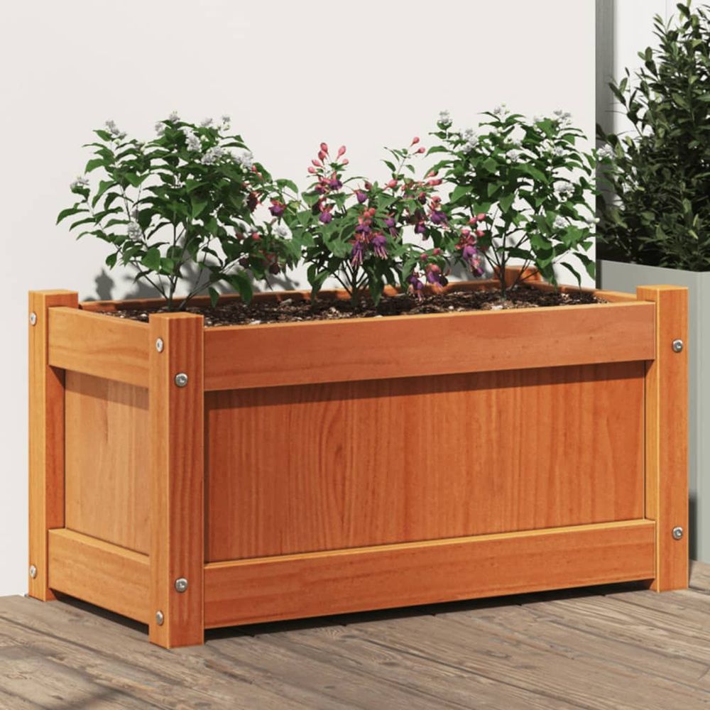 vidaXL Garden Planter Wax Brown 60x31x31 cm Solid Wood Pine S0671394922